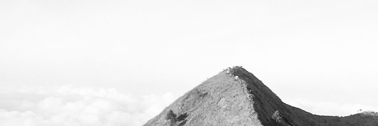 EllisaVista's profile banner image