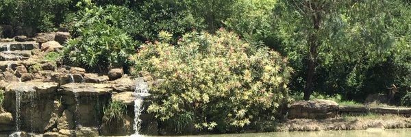 whatistexas Profile Banner