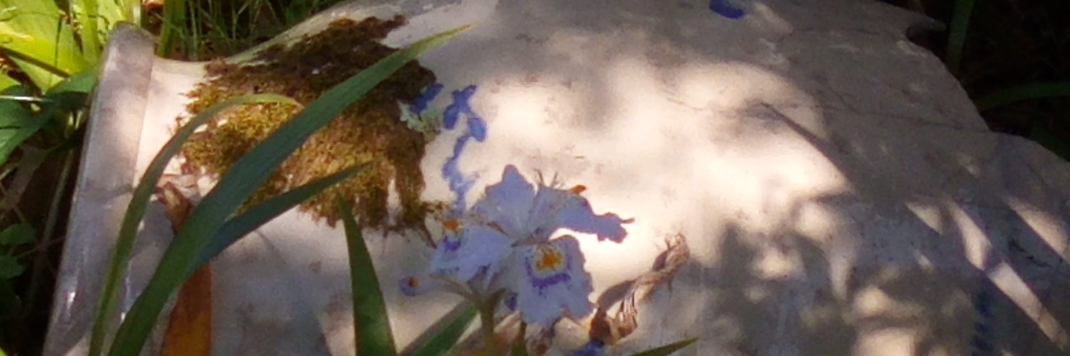 waka_34's profile banner image