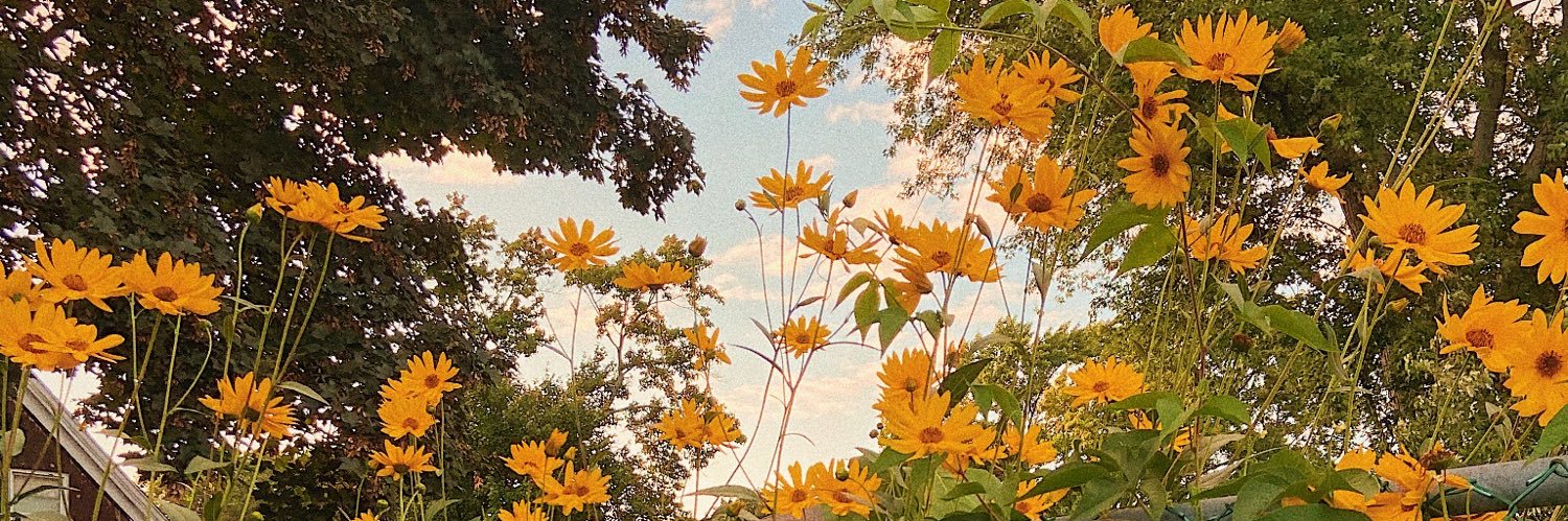 mdwizz7's profile banner image