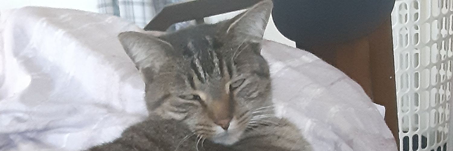 Bryan Thompson banner