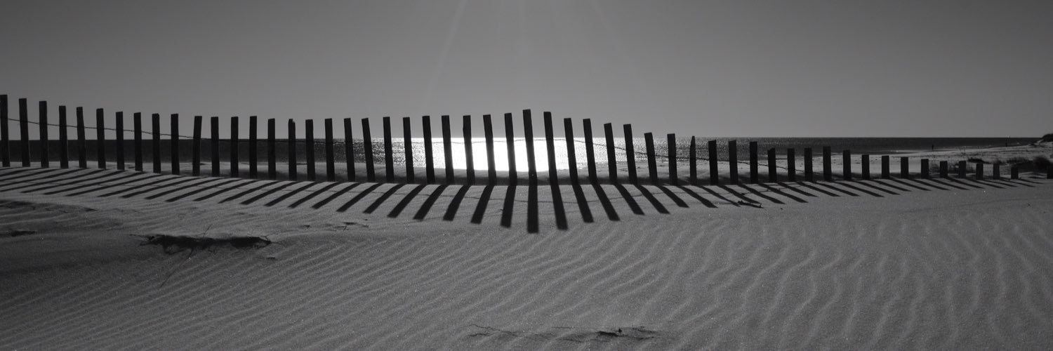 Josh_Dog_1's profile banner image