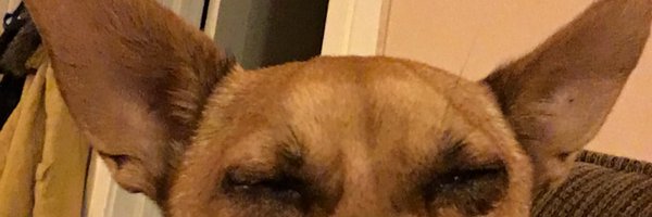 helperfunction_ Profile Banner