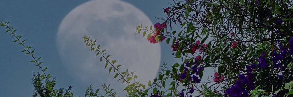 ftmnr_a's profile banner image