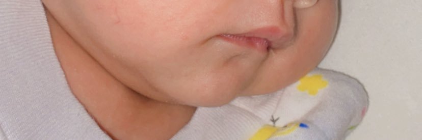 Miranda banner