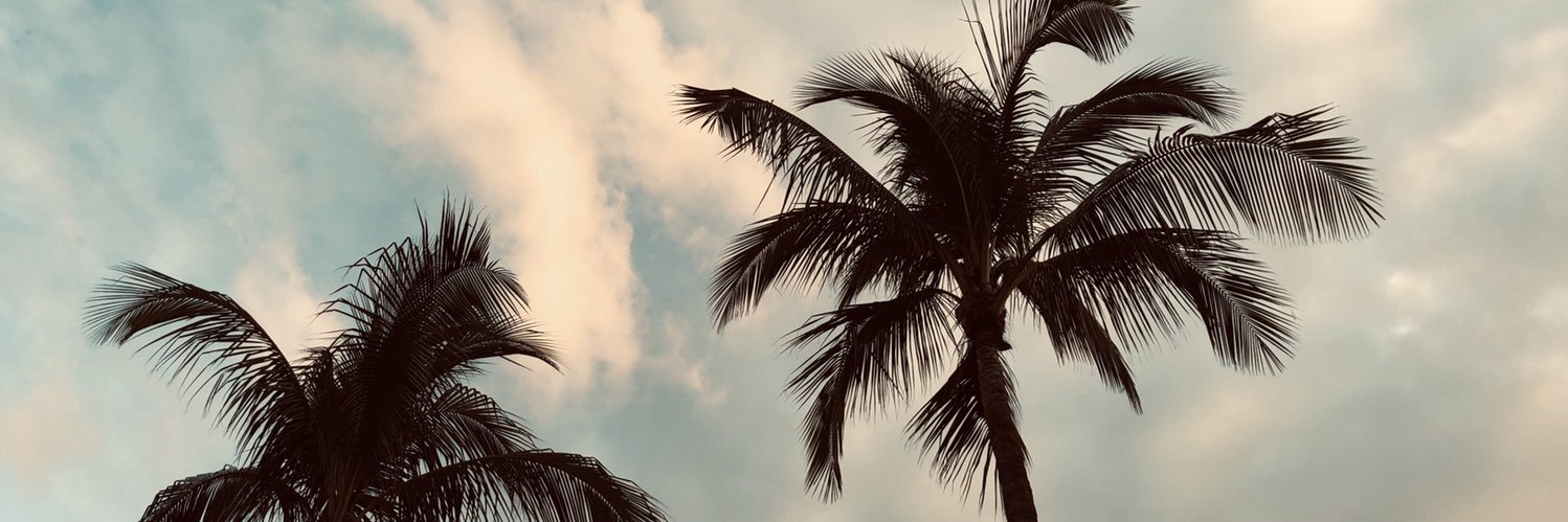 c3baer's profile banner image