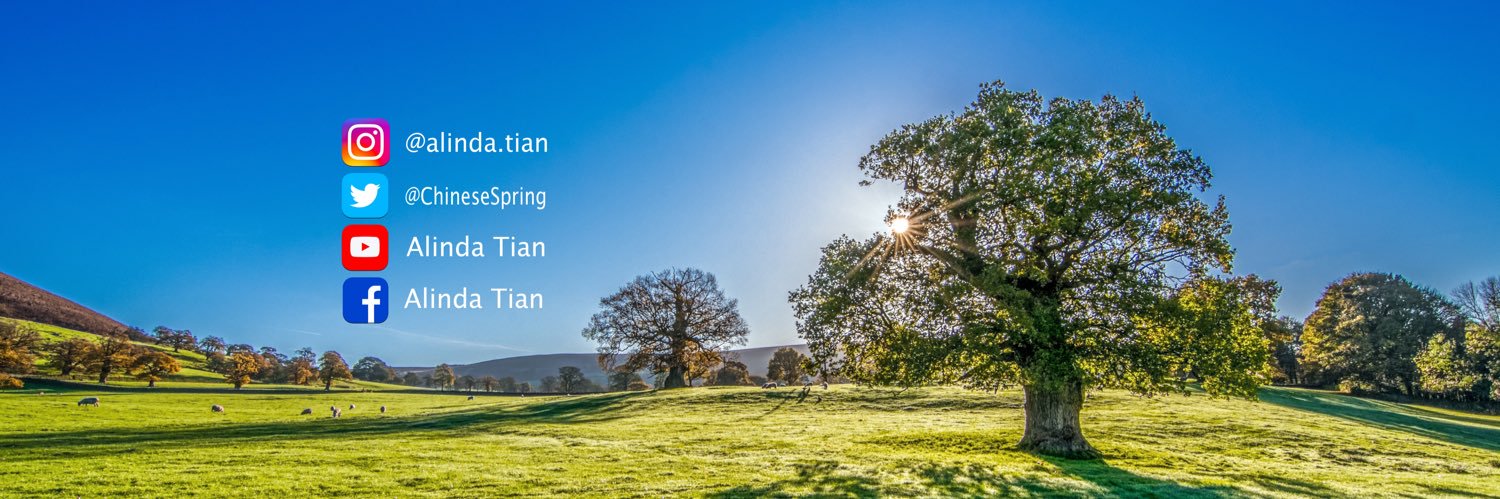 ChineseSpring's profile banner image