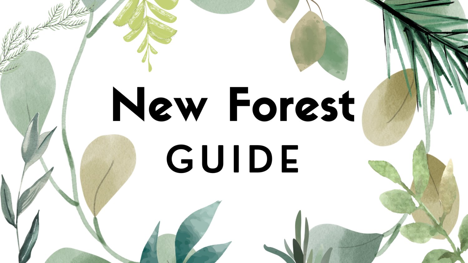 New Forest Guide banner