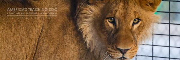 ATZatMC Profile Banner