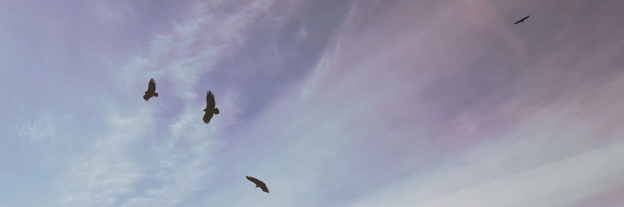 MeliBCastro's profile banner image