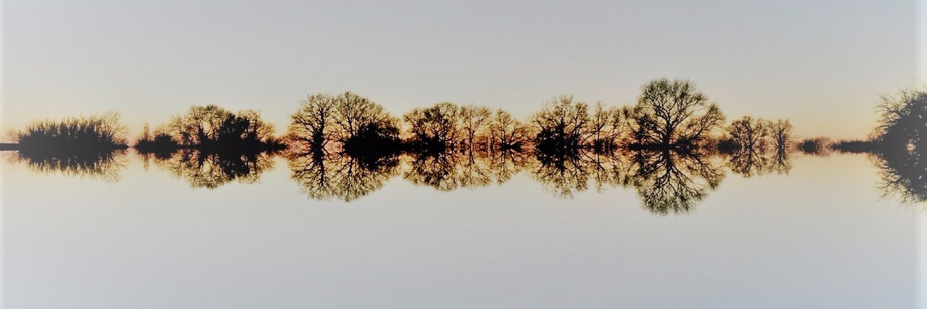nicothx's profile banner image