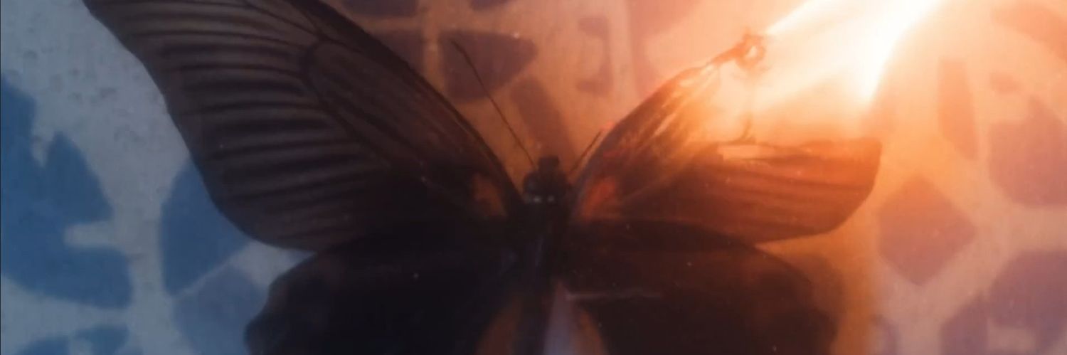 morpheus𓆩♡𓆪 ENHYPEN IS 7 banner