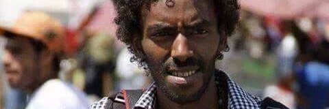 Mohamed El-Shahed banner