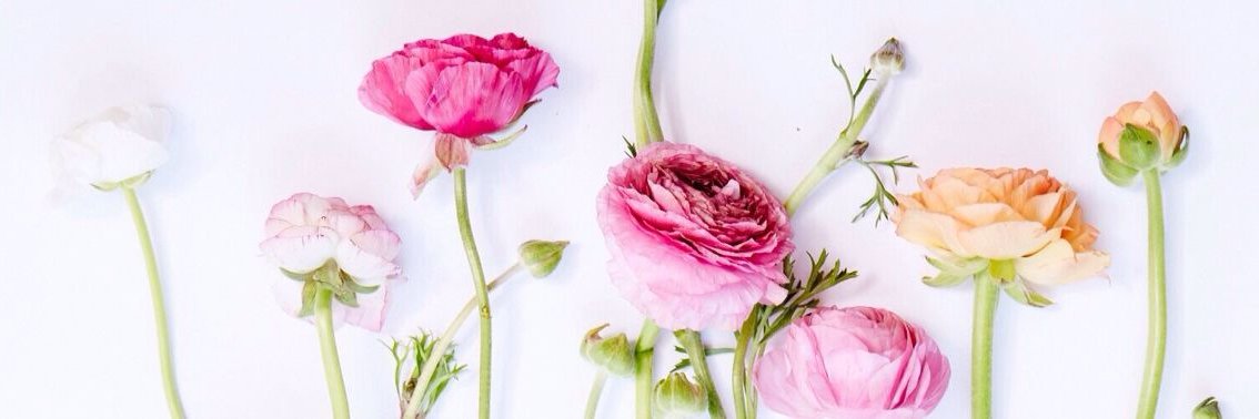 Caitlin Rosenbaum banner