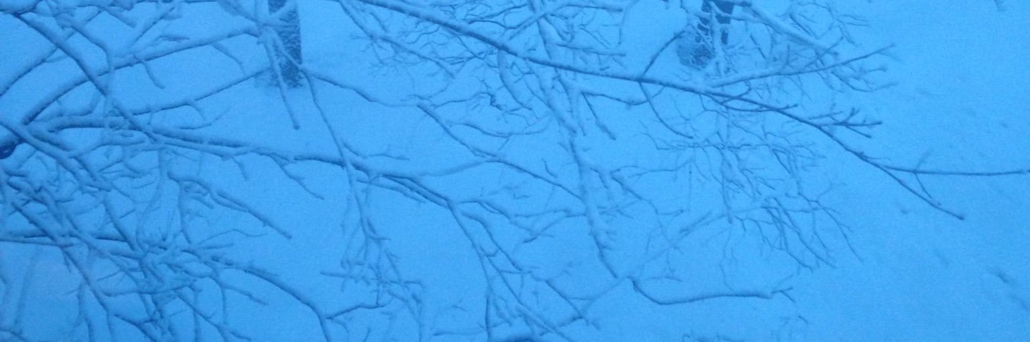 GUL1_B's profile banner image