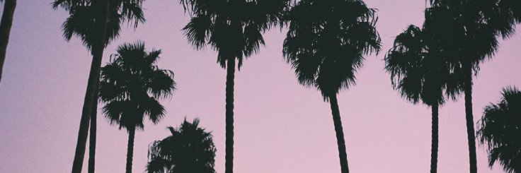 corinn_rose's profile banner image
