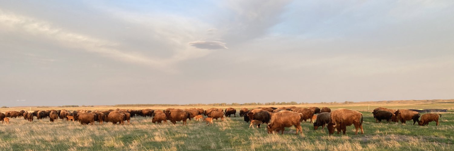 Ben Gotschall banner