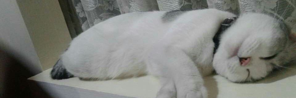 TER. แอบมาดูแฟน banner