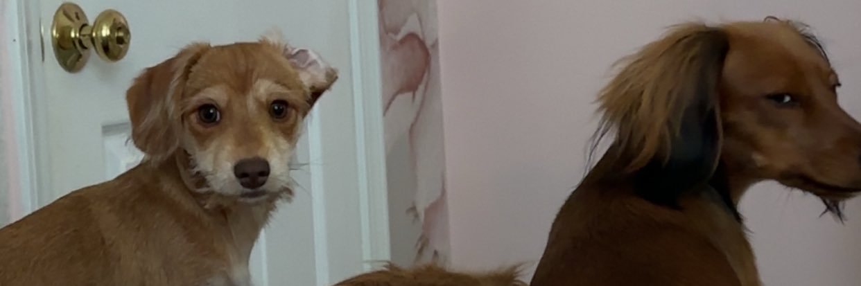 onthe_LO's profile banner image