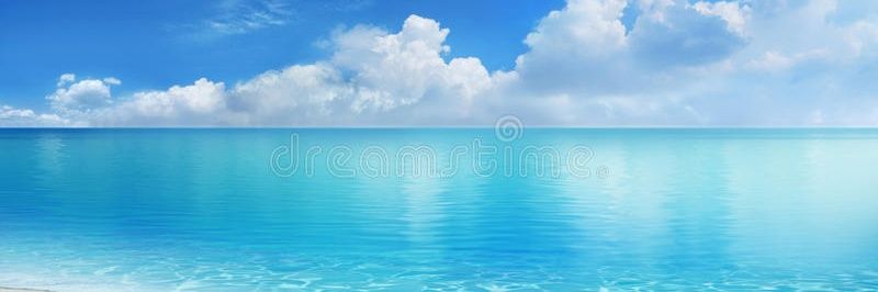 visiblement banner