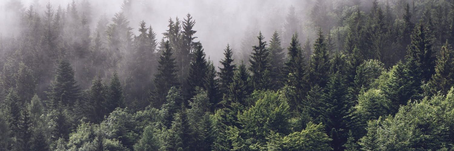 Corentin_cms's profile banner image