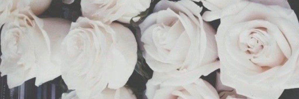 BabsSugarman's profile banner image