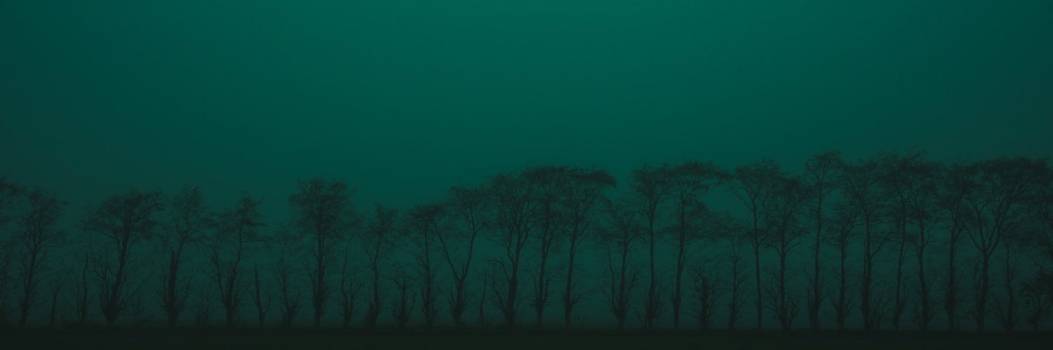 ninthwardant's profile banner image