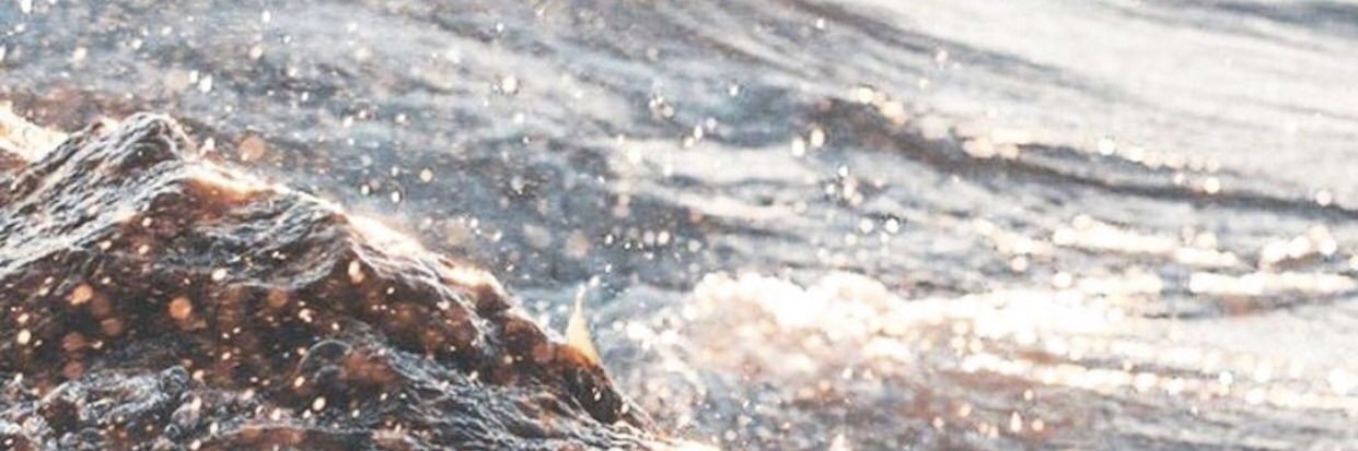 __PaulaMaria's profile banner image