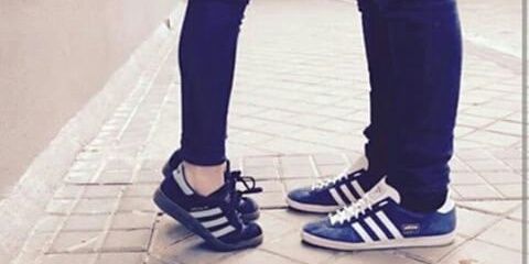 Holiss banner