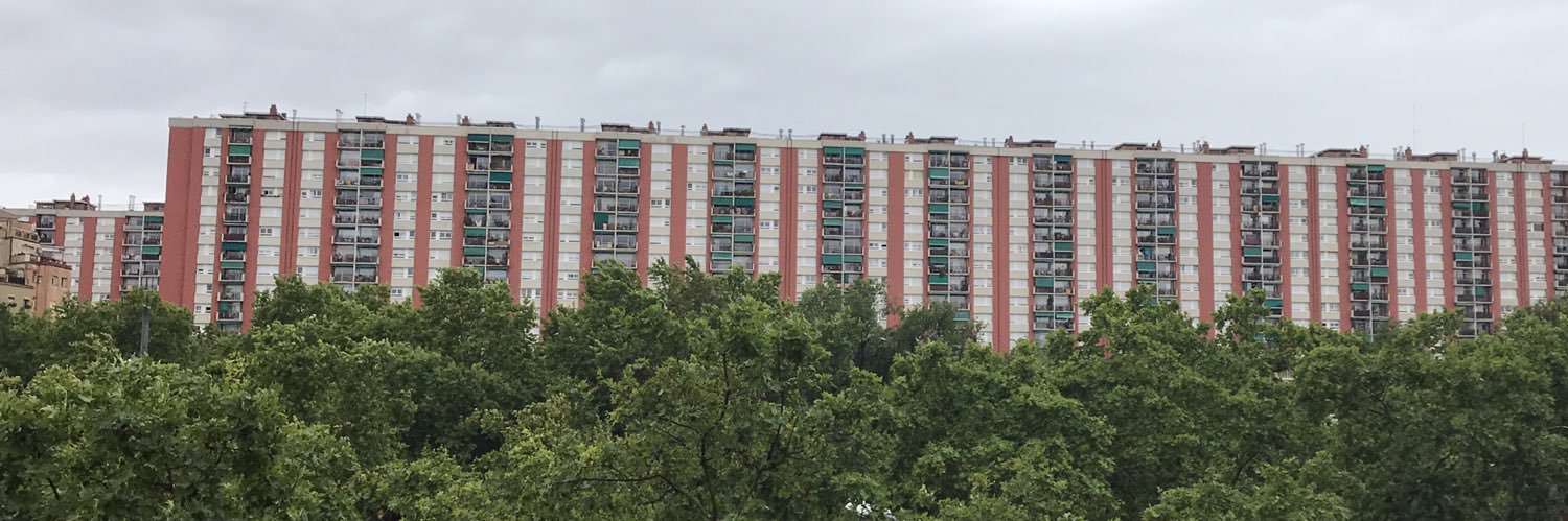 Mercedes Vidal banner