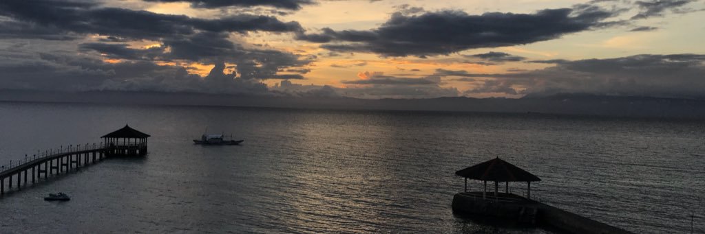 bratgail's profile banner image