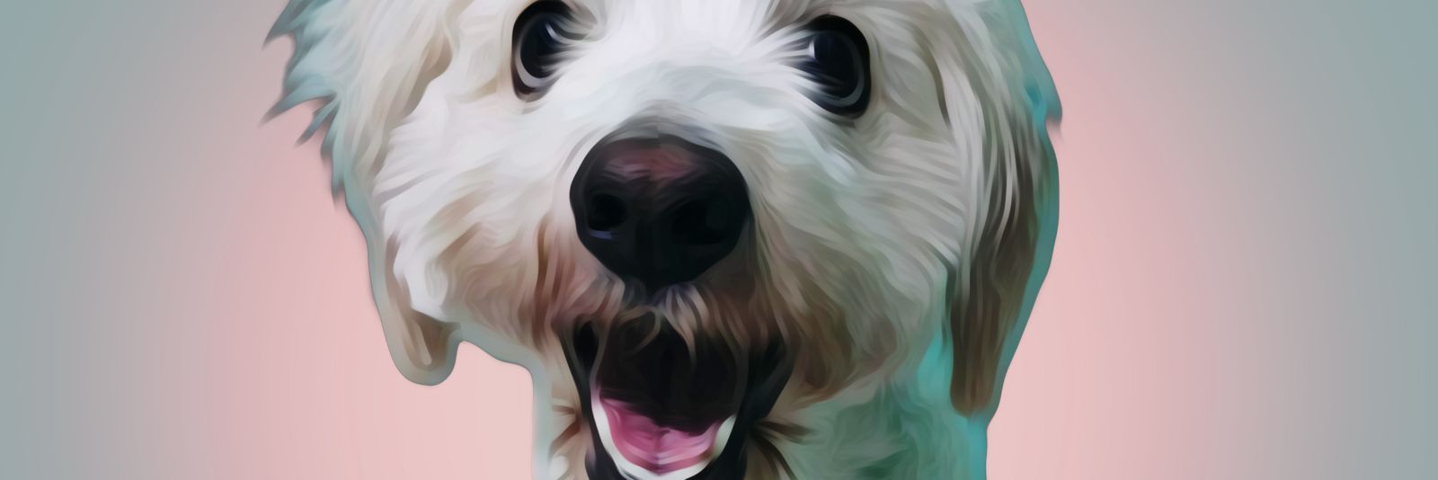 𝓡𝓱𝓮𝓶 banner