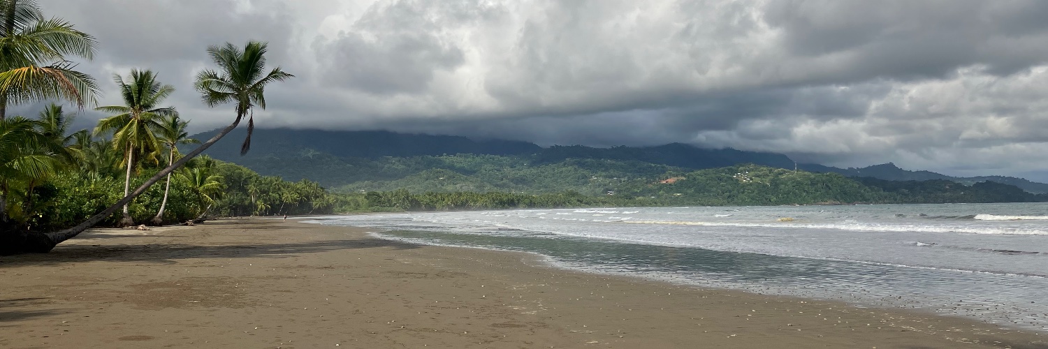 Lloyd Christmas banner