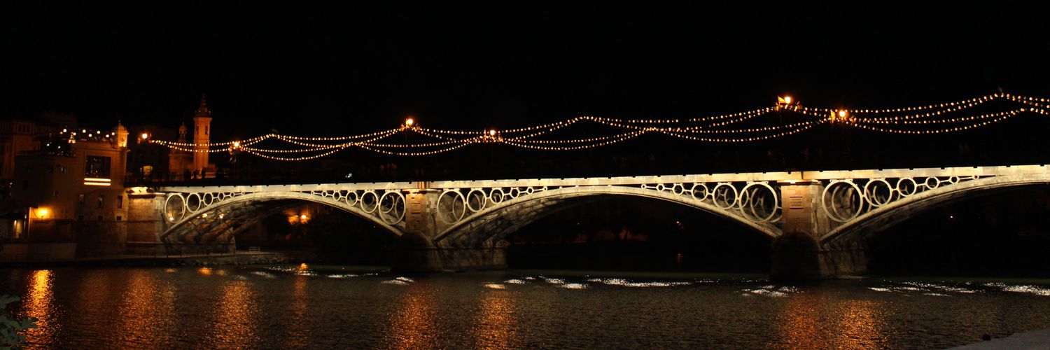 Elisabeth garcia banner