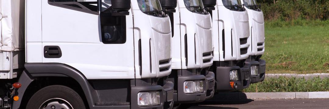 Training Supermarket banner