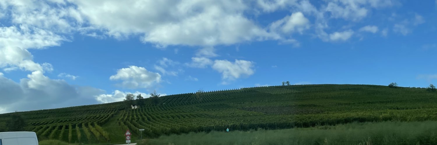 NoellaFassi's profile banner image