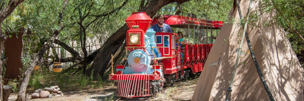 Trail Dust Town banner