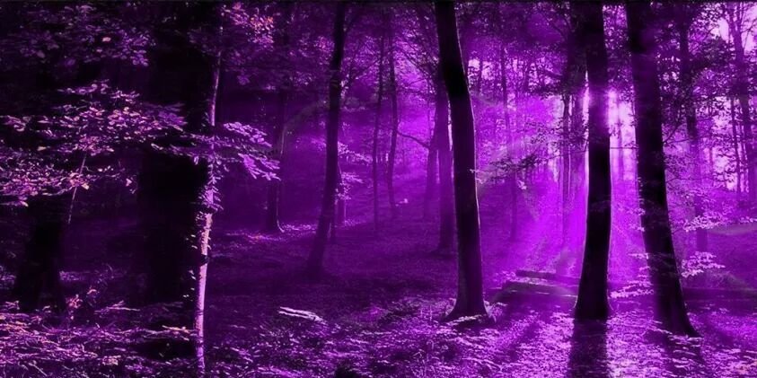 BossiQ91's profile banner image