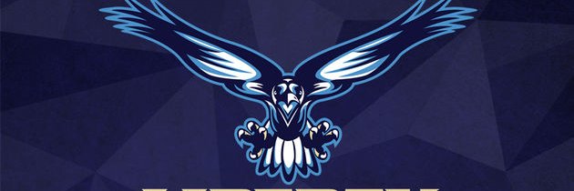 LTV banner