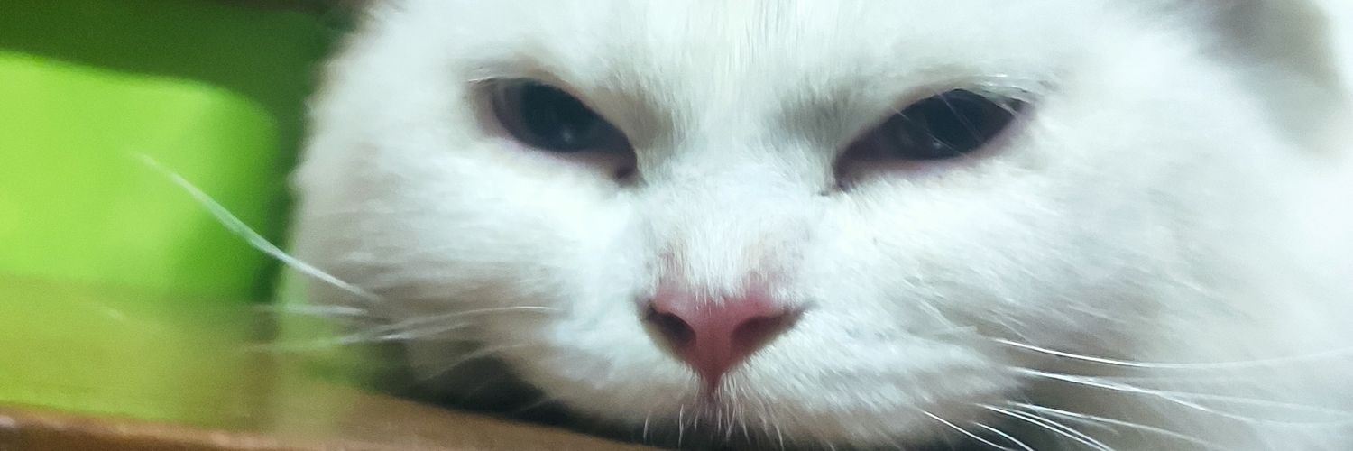 baymax090515's profile banner image