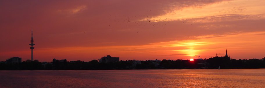 ibuckow's profile banner image