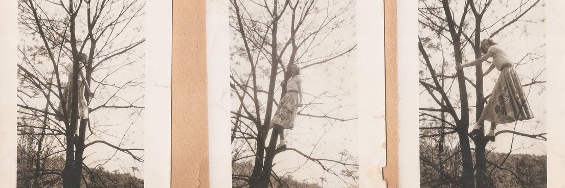 The CryptoNaturalist banner