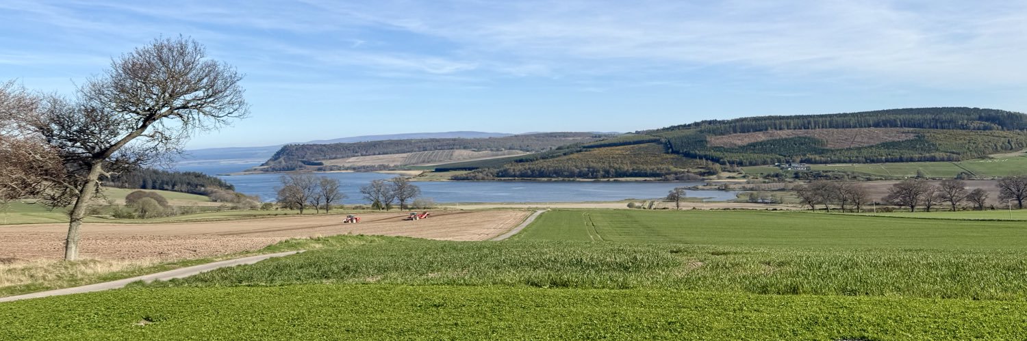 Annabel Gerry banner