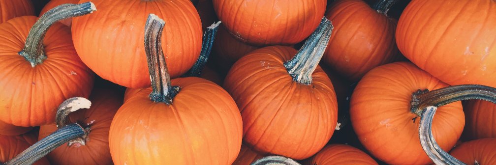 PumpknFacts's profile banner image