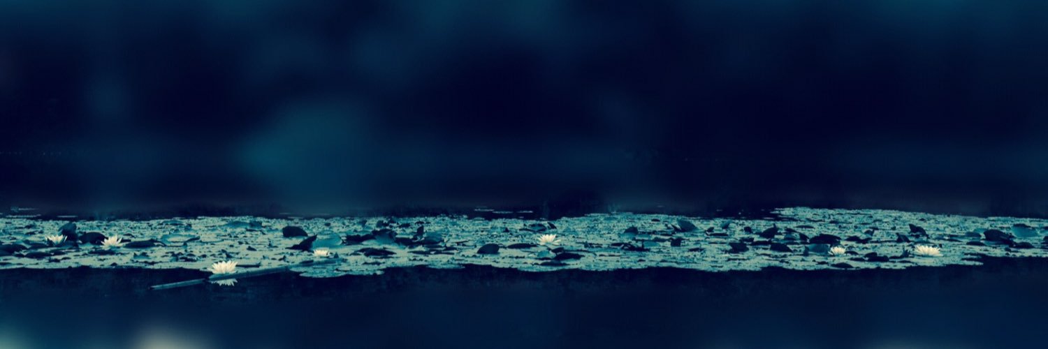 smtsrst's profile banner image