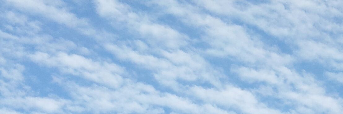 actorleehorsley's profile banner image