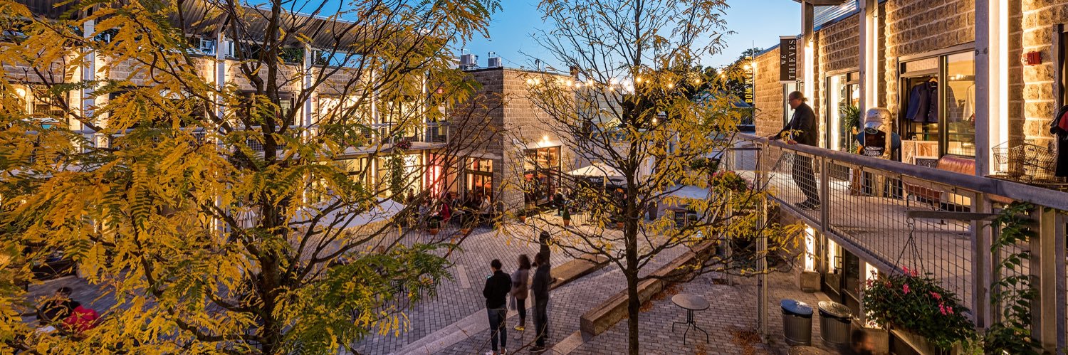 Merritt Chase banner