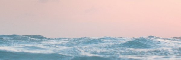 ionnaleecharts Profile Banner