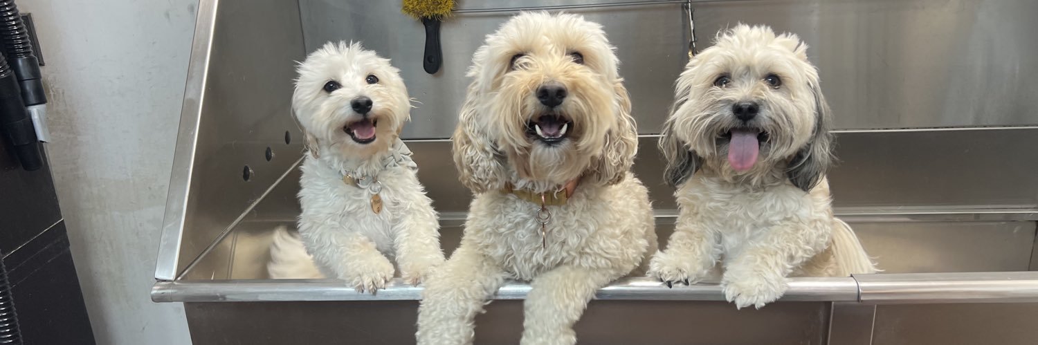 Crypto Savant 🎒🌌🏌🏻 banner