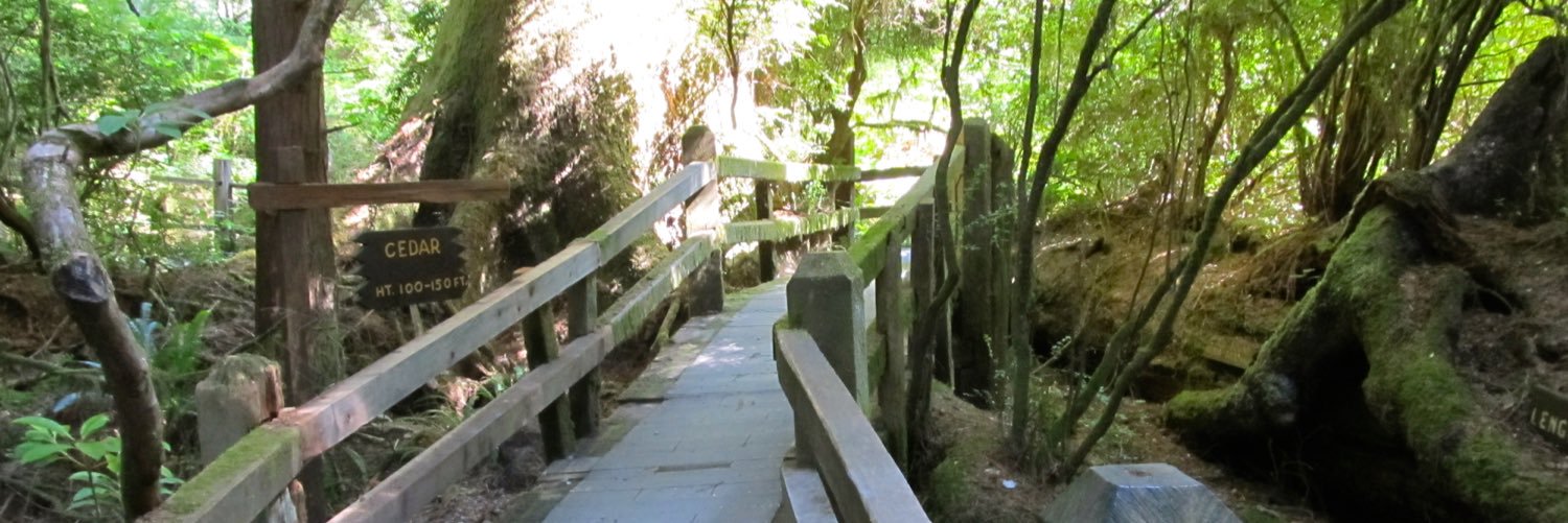 megclaypool's profile banner image